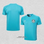 Maglia Allenamento Palmeiras 2023-2024 Verde