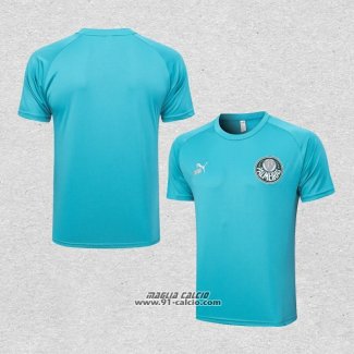 Maglia Allenamento Palmeiras 2023-2024 Verde