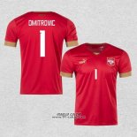 Prima Maglia Serbia Giocatore Dmitrovic 2022