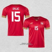 Prima Maglia Serbia Giocatore Grujic 2022