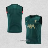 Maglia Allenamento Liverpool Senza Maniche 2022-2023 Verde