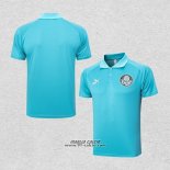 Maglia Polo Palmeiras 2023-2024 Verde