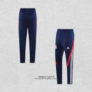 Pantaloni Allenamento Bayern Monaco 2022-2023 Blu